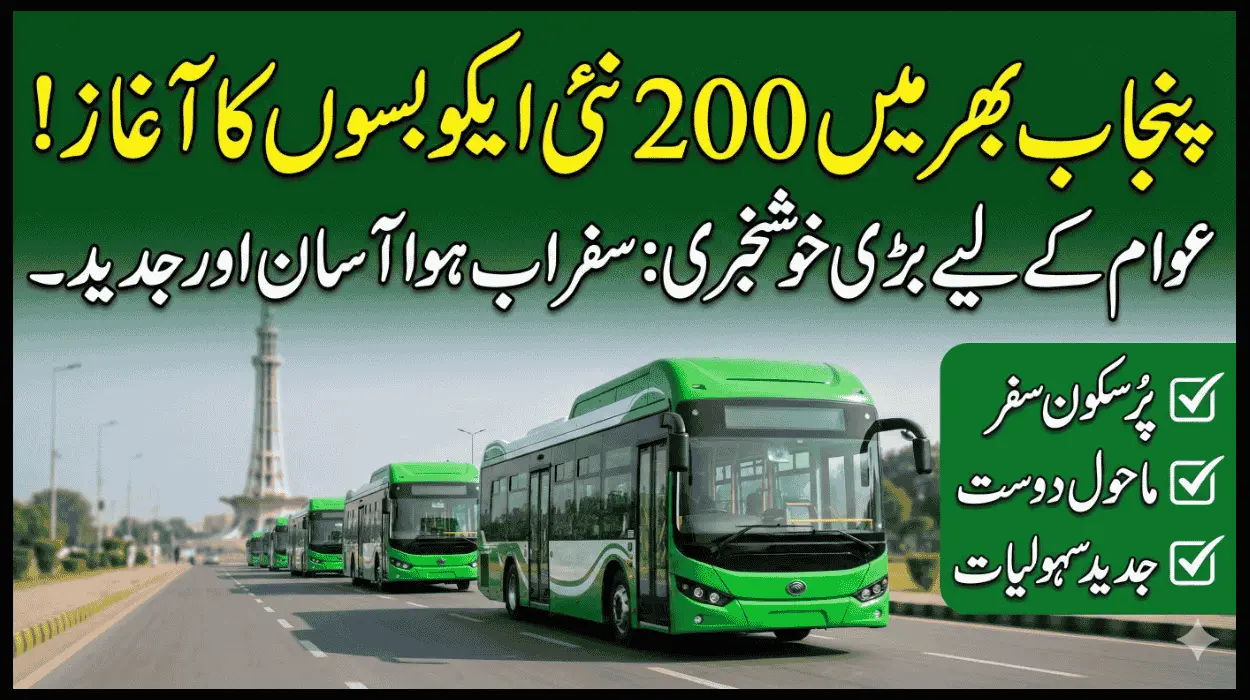 Punjab Electric Shift 2026: 200 Eco Buses Upgrade Urban Transport